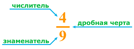 Числитель и знаменатель обыкновенной дроби