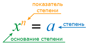 степень: основание и показатель степени