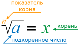 корень числа: подкоренное число и показатель корня