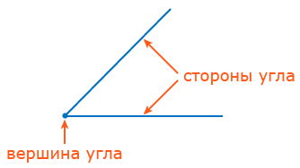 вершина и стороны угла